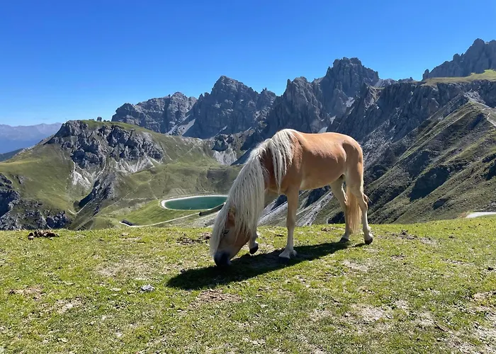 Bergblick Rundum By Base&beyond Zirl